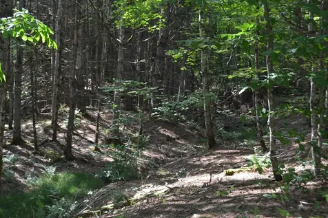 0 Shamrock Lane Montpelier VT 05602