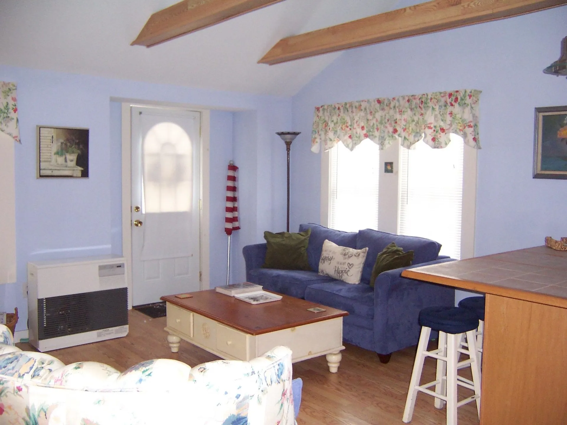 65 Lakeview Avenue Bristol NH 03222