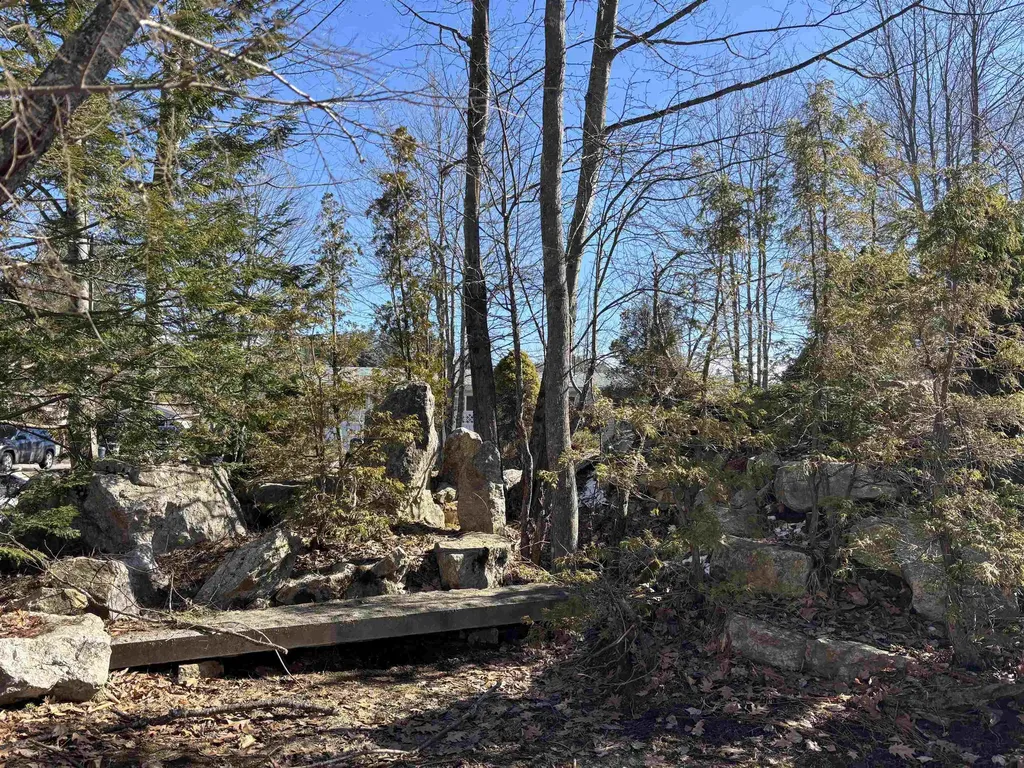 58 Magnolia Lane Belmont NH 03220