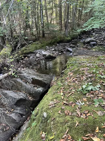 00 East Side Road Wentworth NH 03282