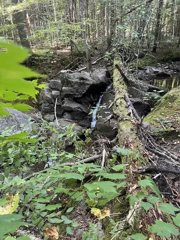 00 East Side Road Wentworth NH 03282