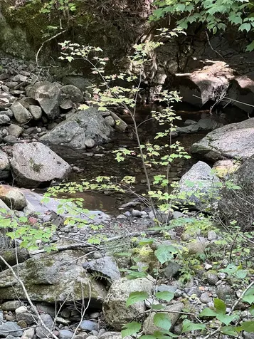 00 East Side Road Wentworth NH 03282