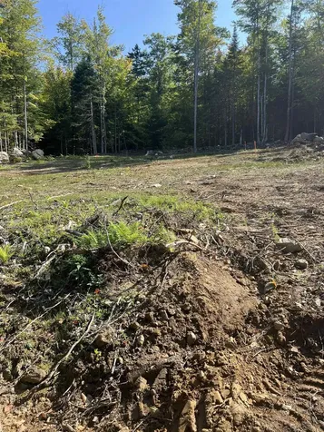 00 East Side Road Wentworth NH 03282