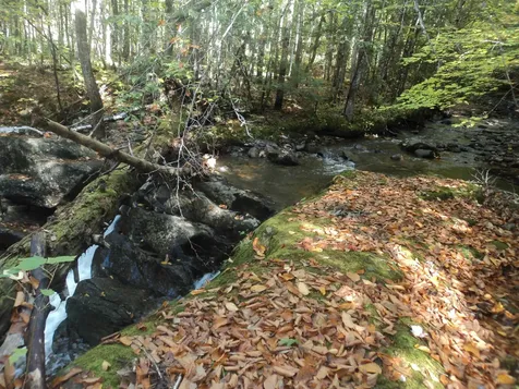 00 East Side Road Wentworth NH 03282