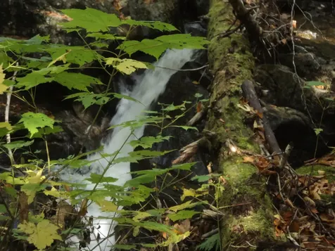 00 East Side Road Wentworth NH 03282