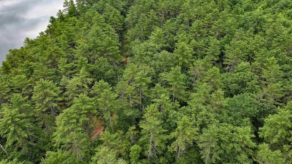 62-B Long Pond Drive Denmark ME 04022