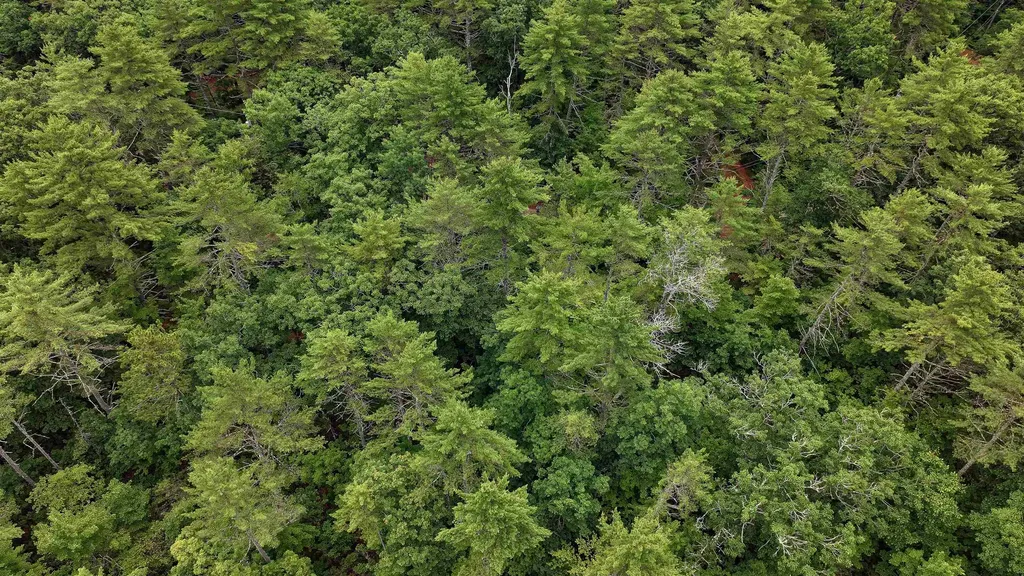 62-B Long Pond Drive Denmark ME 04022