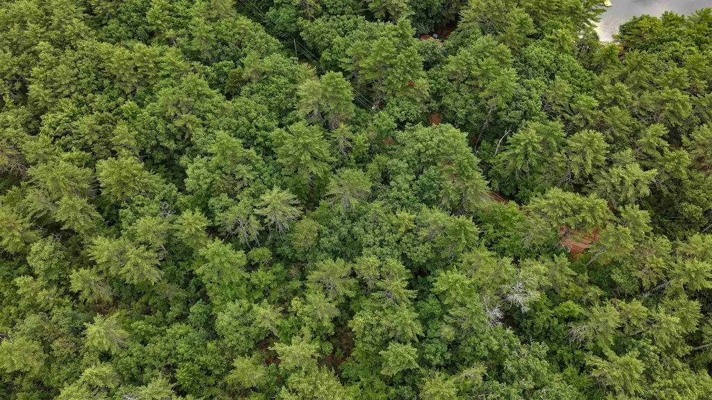 62-B Long Pond Drive Denmark ME 04022