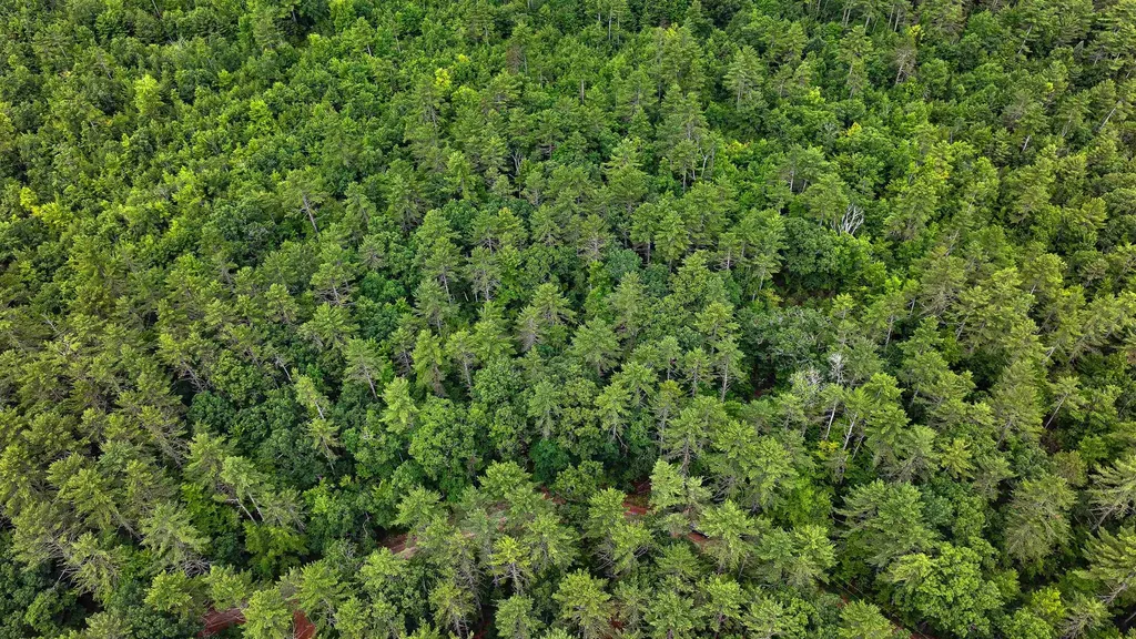 62-B Long Pond Drive Denmark ME 04022