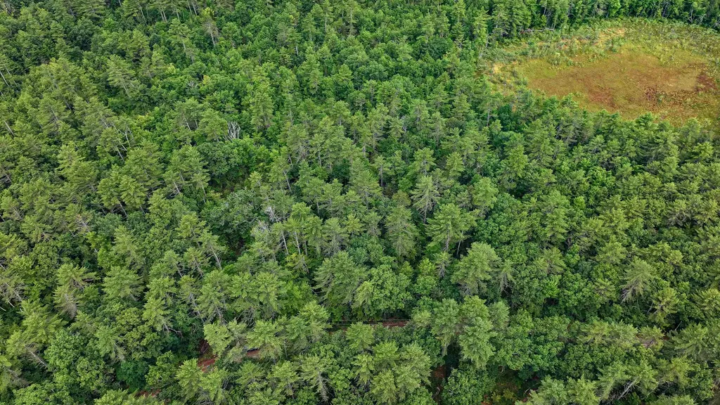 62-B Long Pond Drive Denmark ME 04022