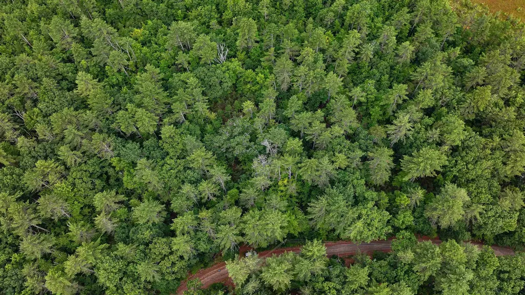 62-B Long Pond Drive Denmark ME 04022