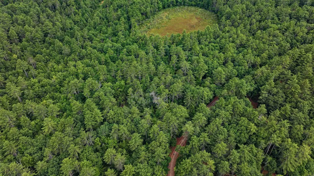 62-B Long Pond Drive Denmark ME 04022