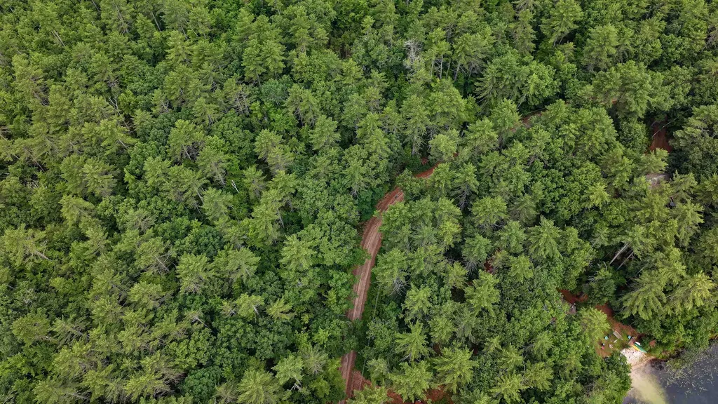 62-B Long Pond Drive Denmark ME 04022