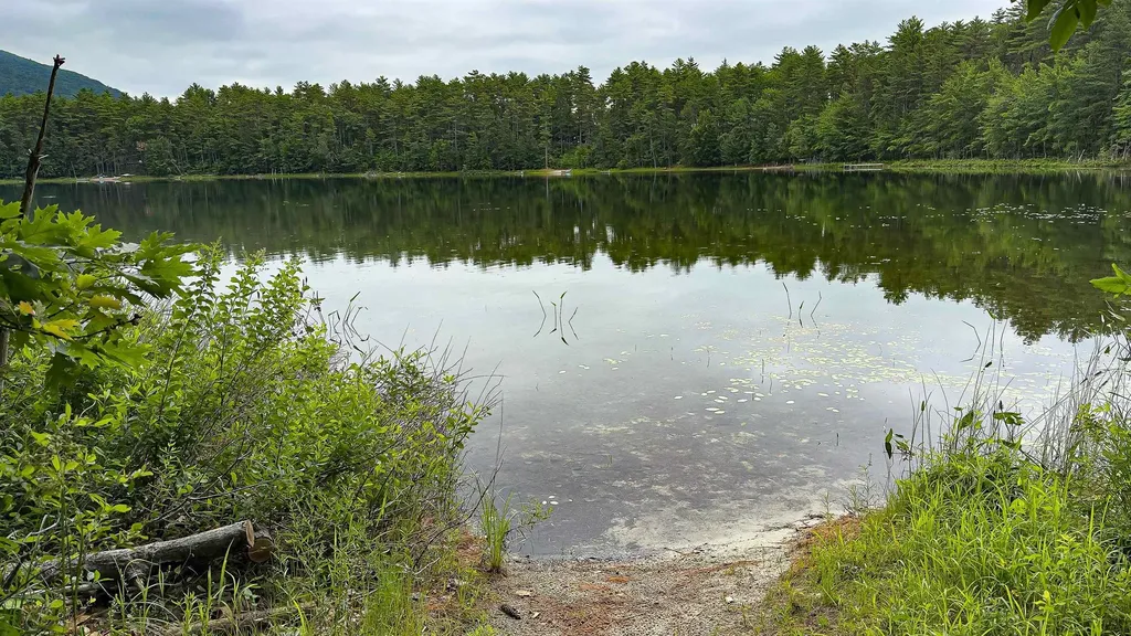 62-B Long Pond Drive Denmark ME 04022