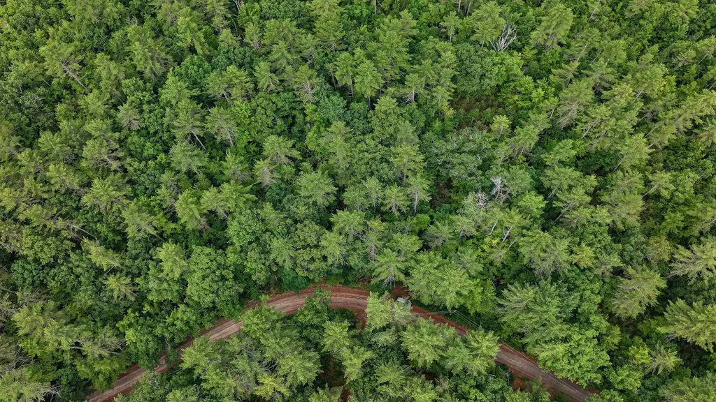 62-B Long Pond Drive Denmark ME 04022