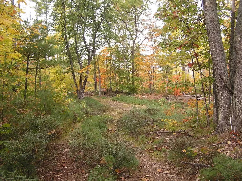 62-B Long Pond Drive Denmark ME 04022