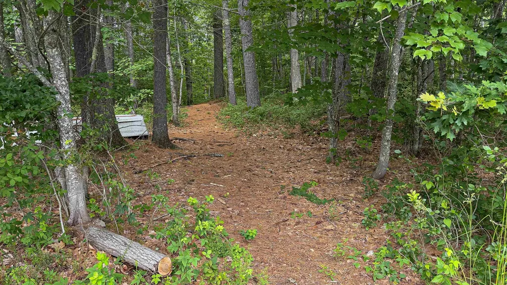 62-B Long Pond Drive Denmark ME 04022