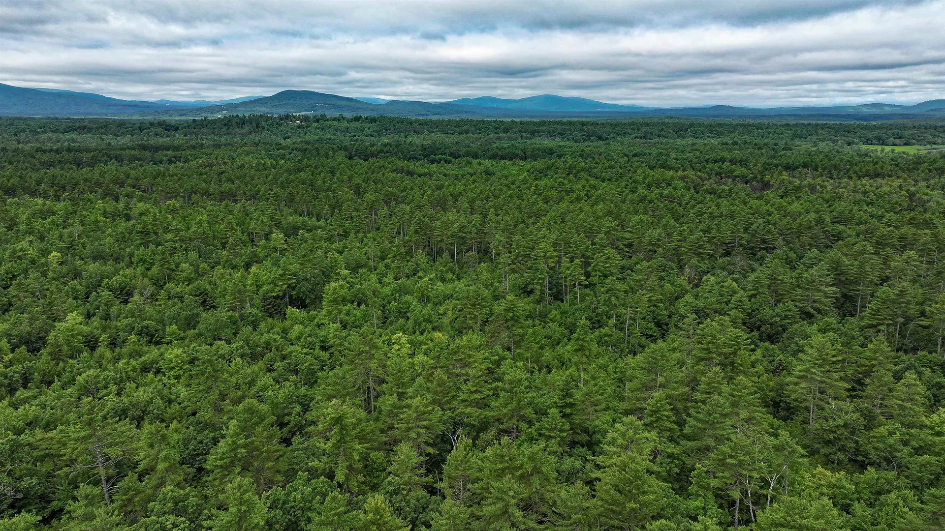 62-B Long Pond Drive Denmark ME 04022