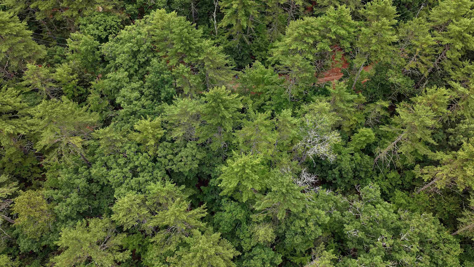 62-B Long Pond Drive Denmark ME 04022