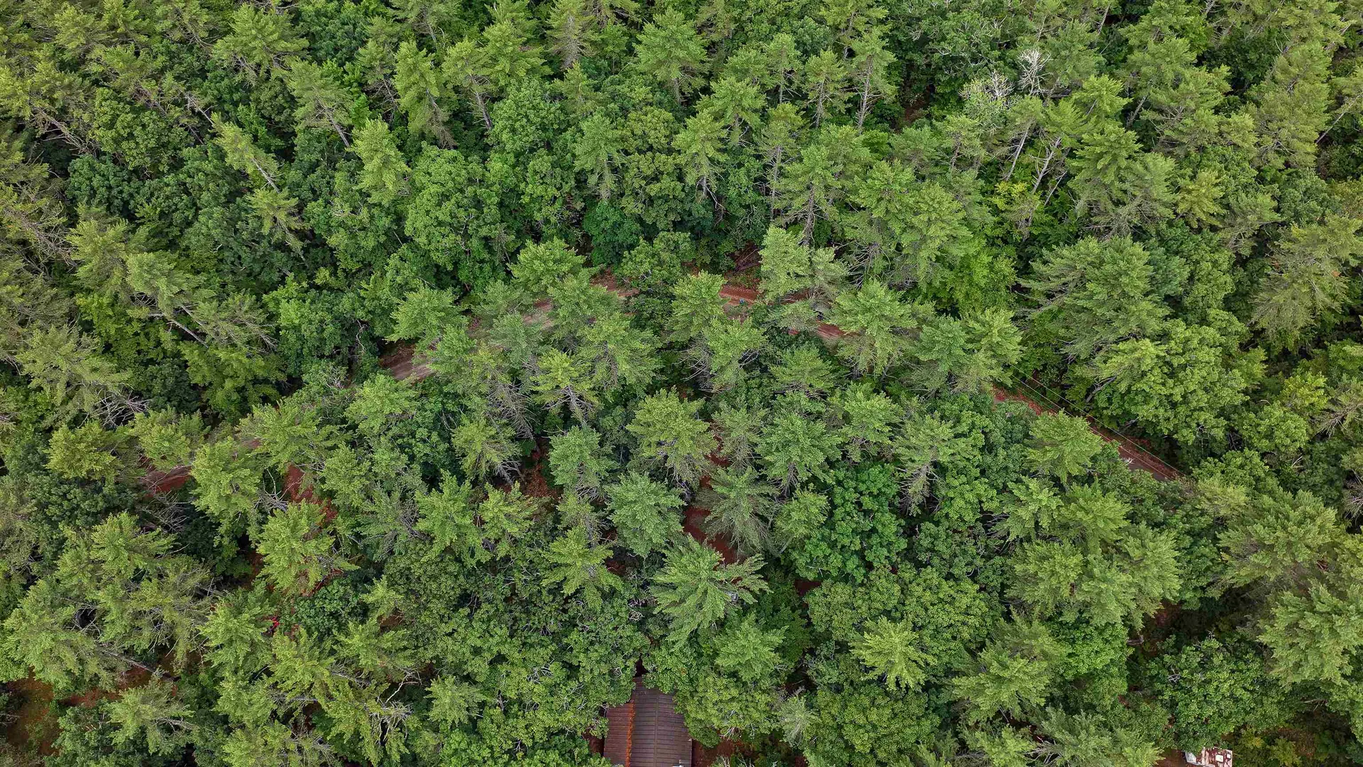 62-B Long Pond Drive Denmark ME 04022