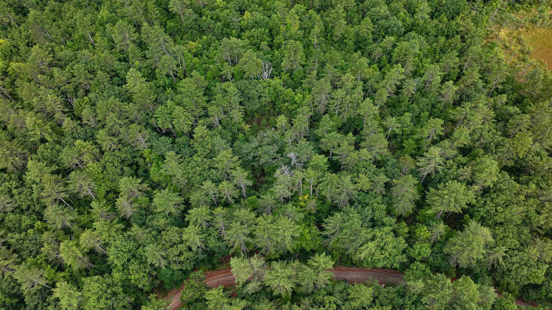 62-B Long Pond Drive Denmark ME 04022