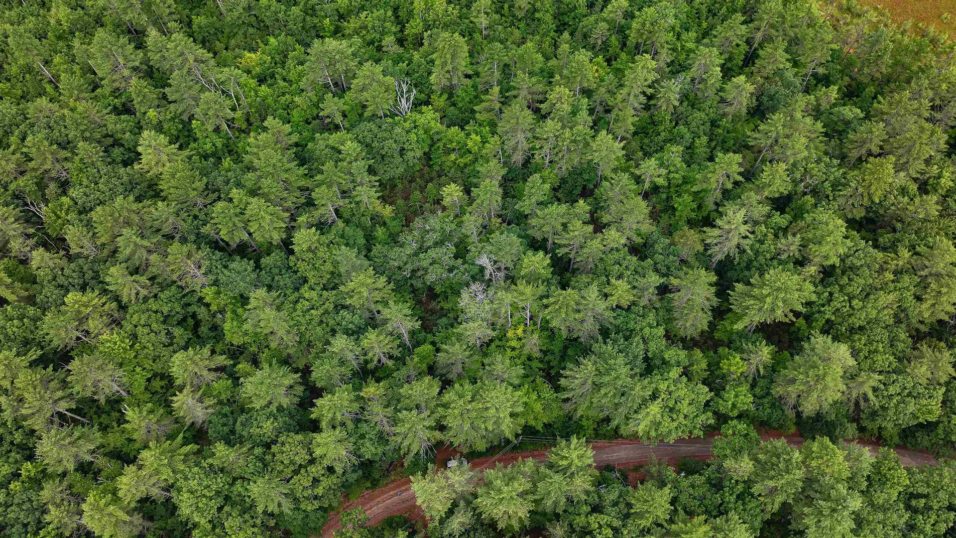 62-B Long Pond Drive Denmark ME 04022