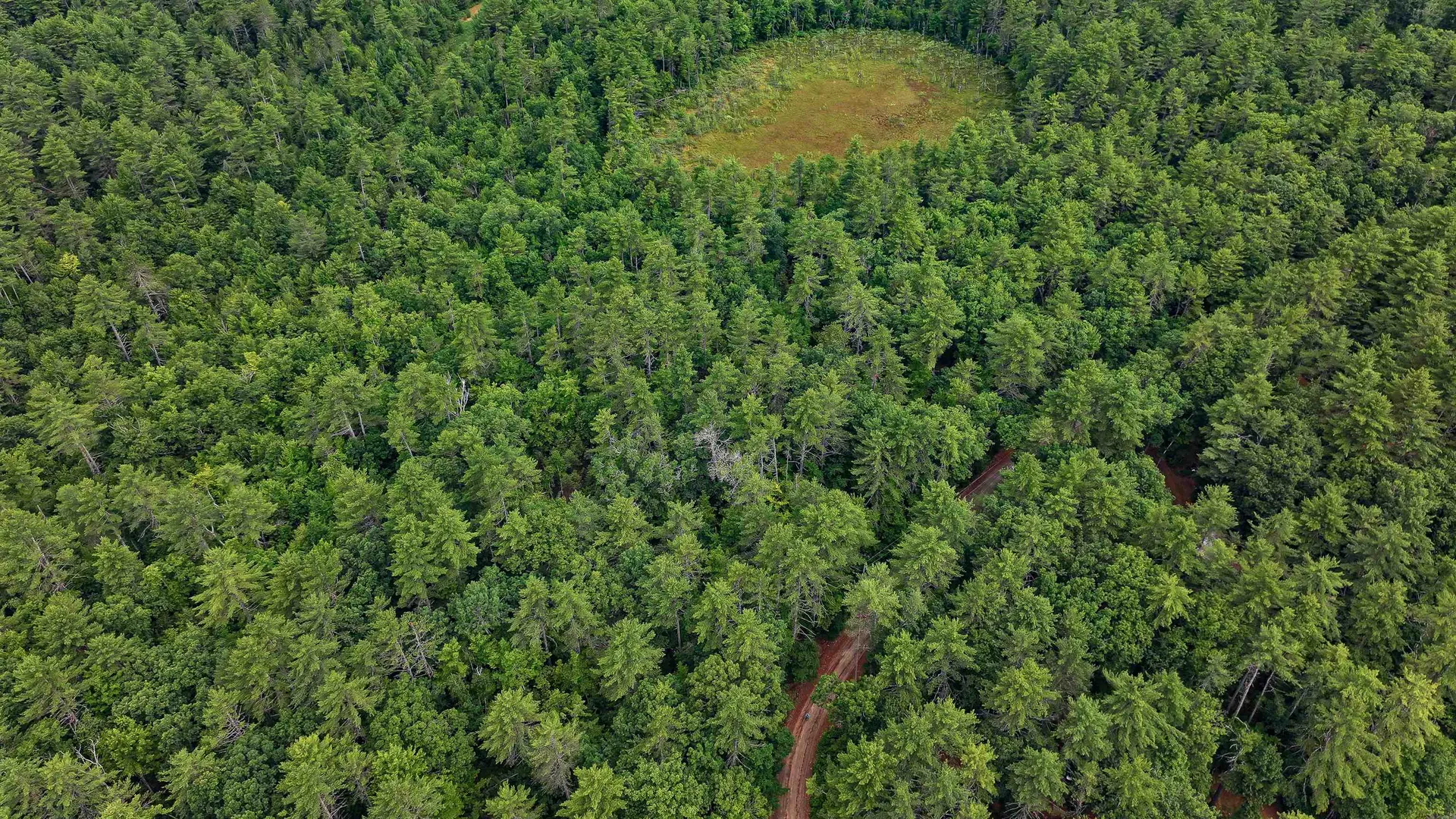 62-B Long Pond Drive Denmark ME 04022