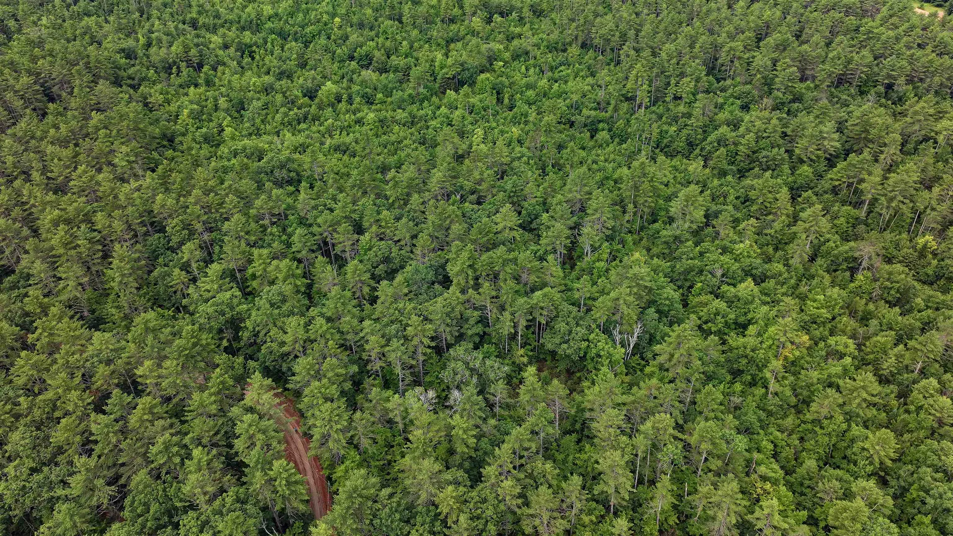 62-B Long Pond Drive Denmark ME 04022