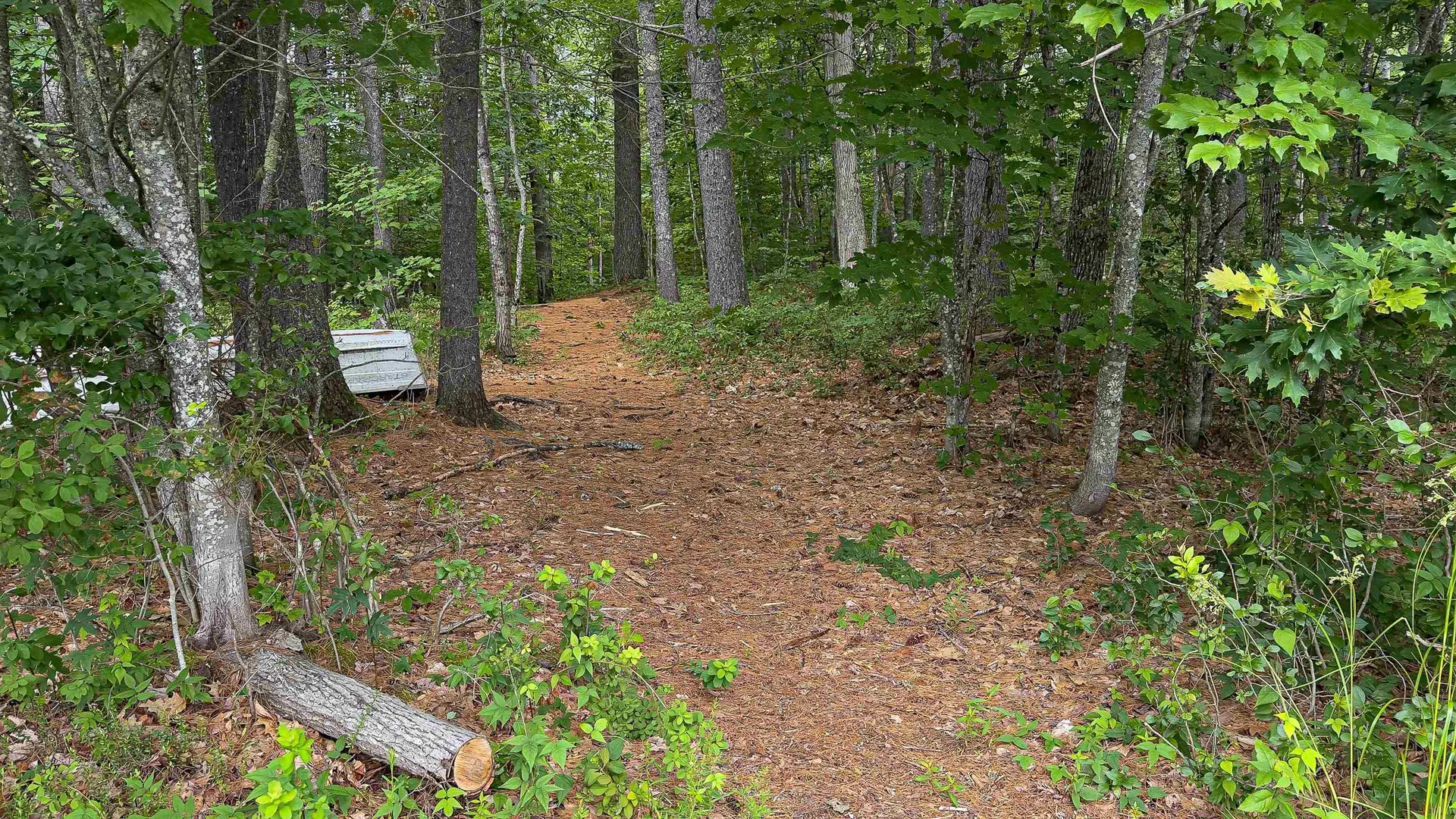 62-B Long Pond Drive Denmark ME 04022