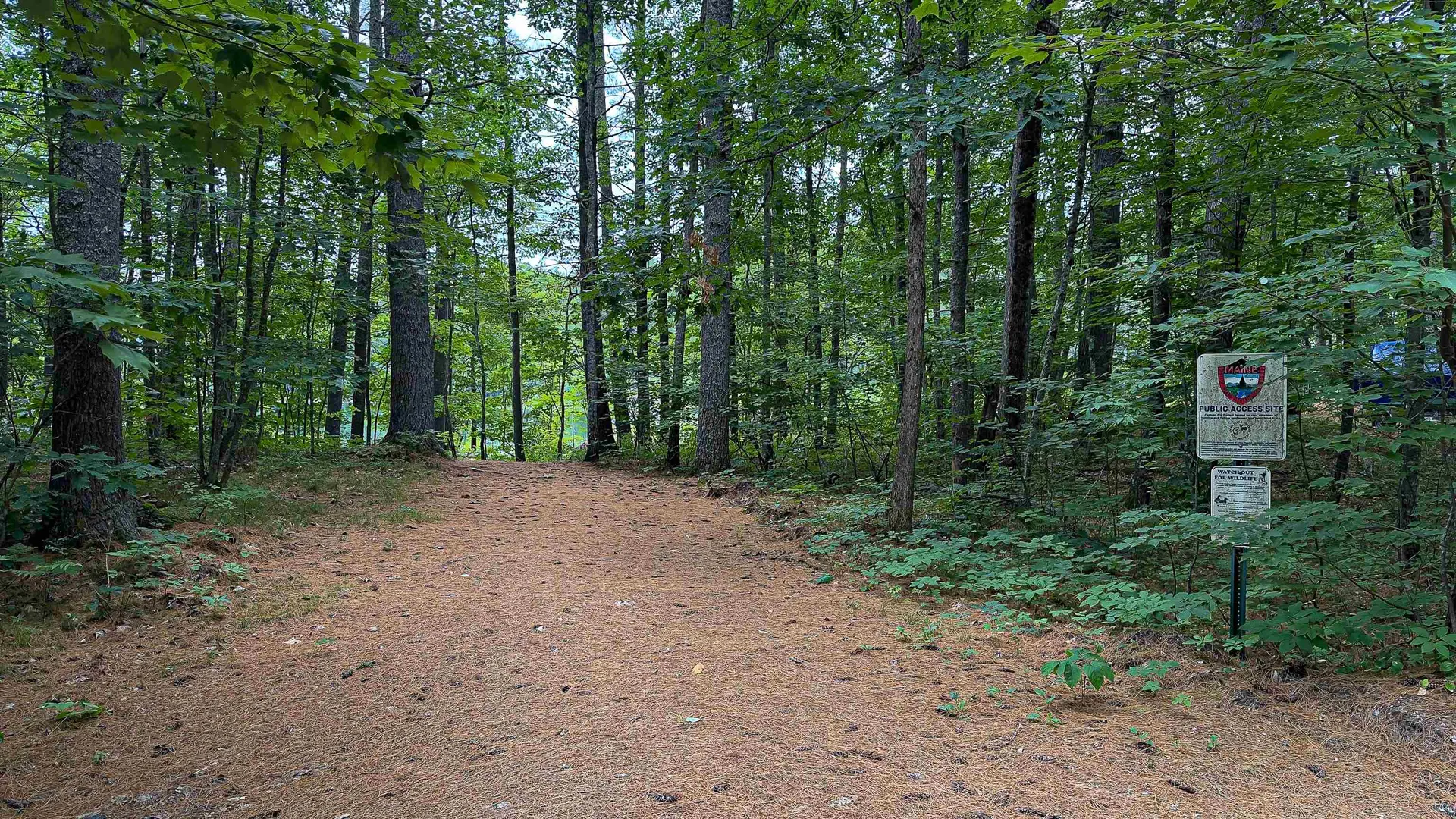 62-B Long Pond Drive Denmark ME 04022