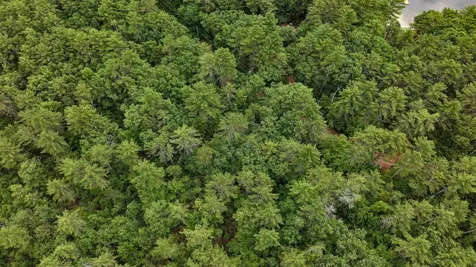 62-B Long Pond Drive Denmark ME 04022