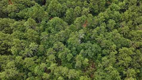 62-B Long Pond Drive Denmark ME 04022