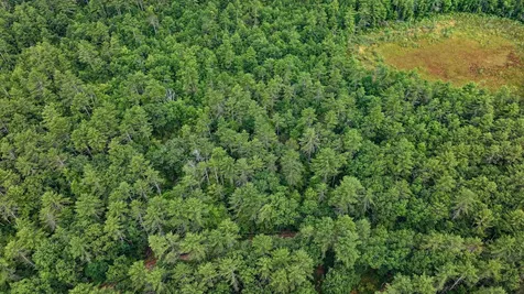 62-B Long Pond Drive Denmark ME 04022