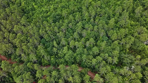 62-B Long Pond Drive Denmark ME 04022