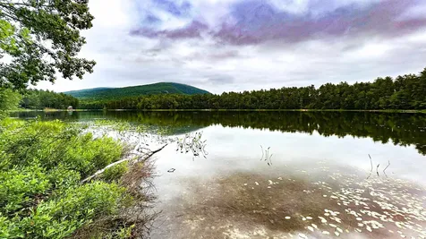 62-B Long Pond Drive Denmark ME 04022