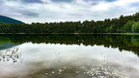 62-B Long Pond Drive Denmark ME 04022