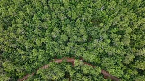 62-B Long Pond Drive Denmark ME 04022