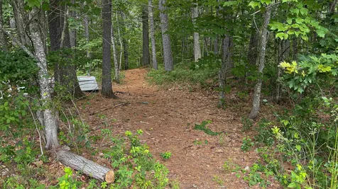 62-B Long Pond Drive Denmark ME 04022