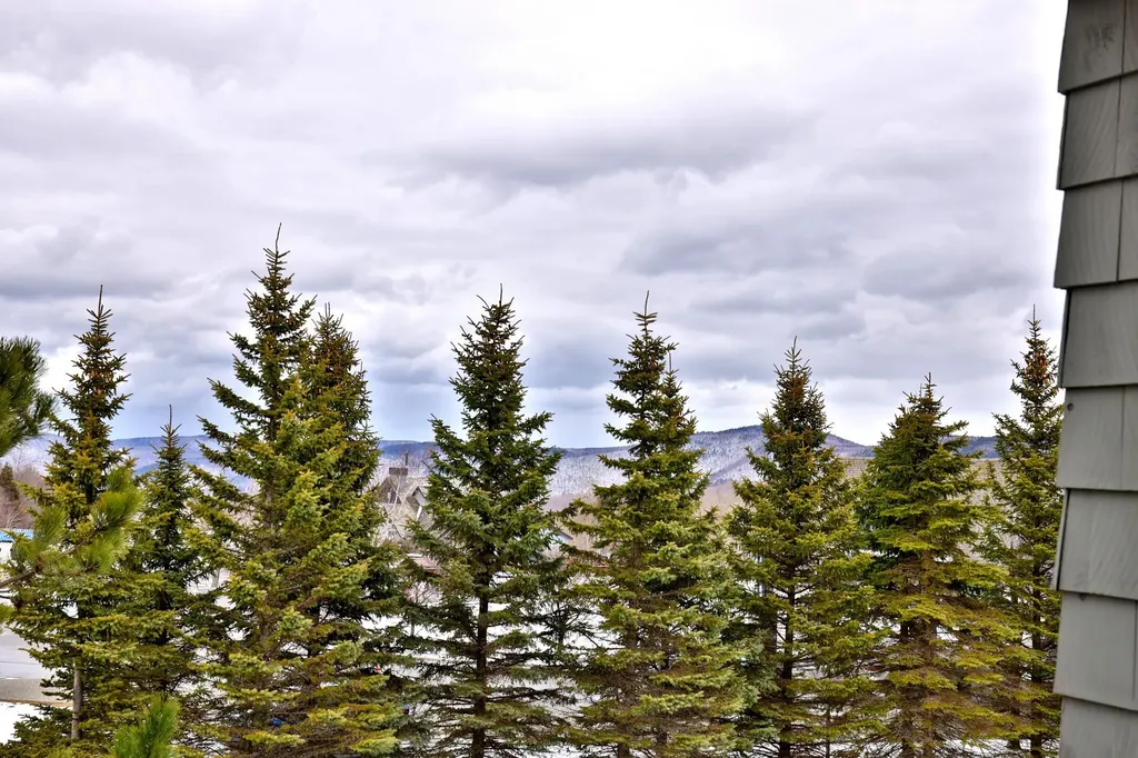 228 East Mountain Road Killington VT 05751