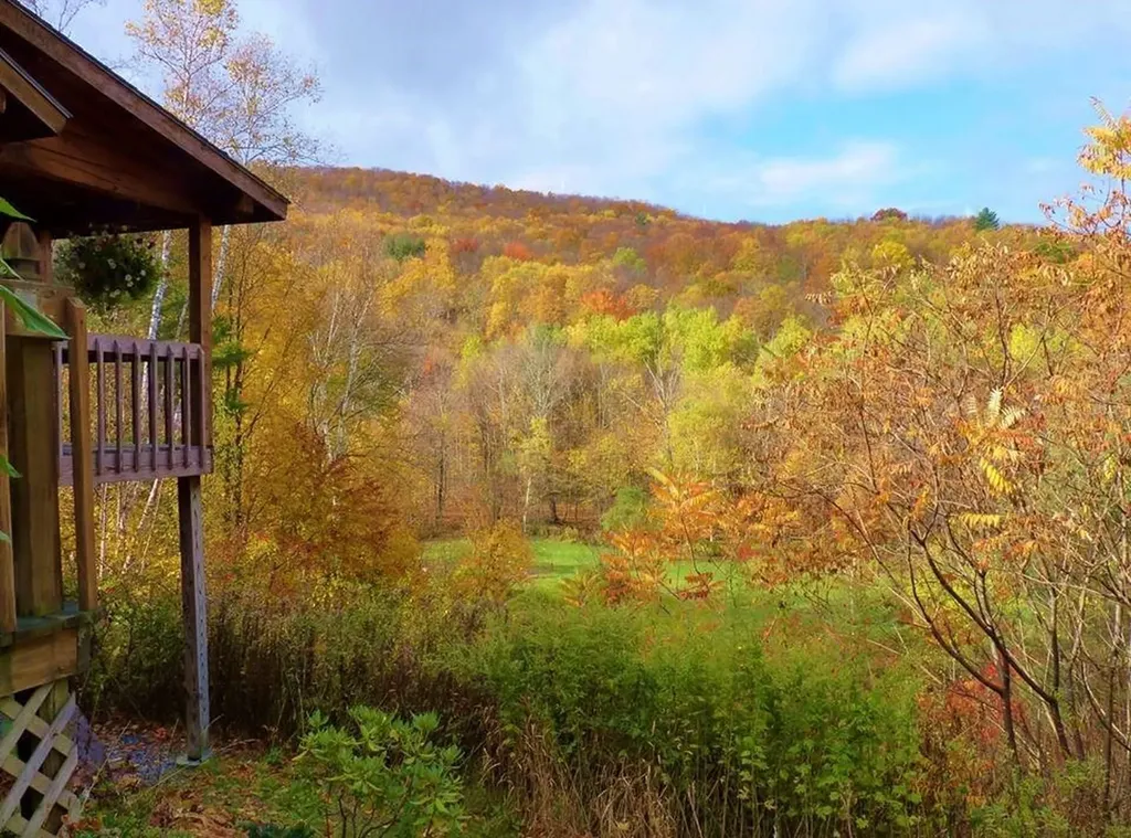 56 Mountain Road Middletown Springs VT 05757