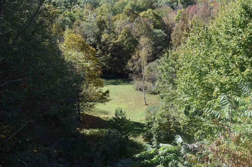 56 Mountain Road Middletown Springs VT 05757