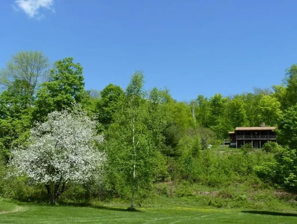 56 Mountain Road Middletown Springs VT 05757