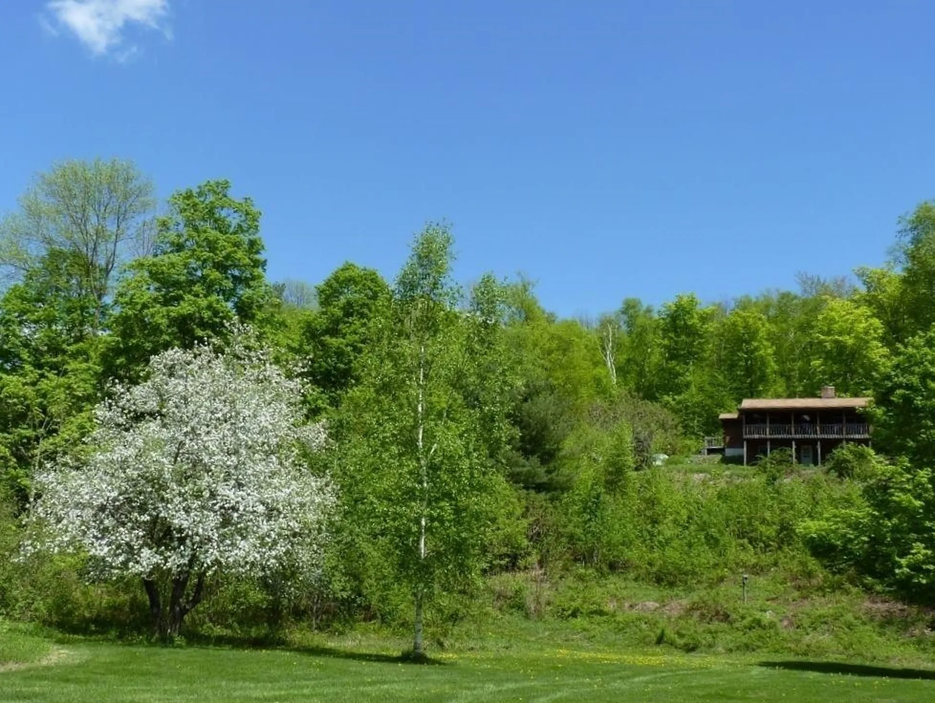 56 Mountain Road Middletown Springs VT 05757