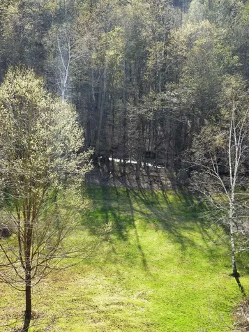 56 Mountain Road Middletown Springs VT 05757