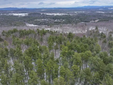 Lot 236-10 Raccoon Hill Road Salisbury NH 03268