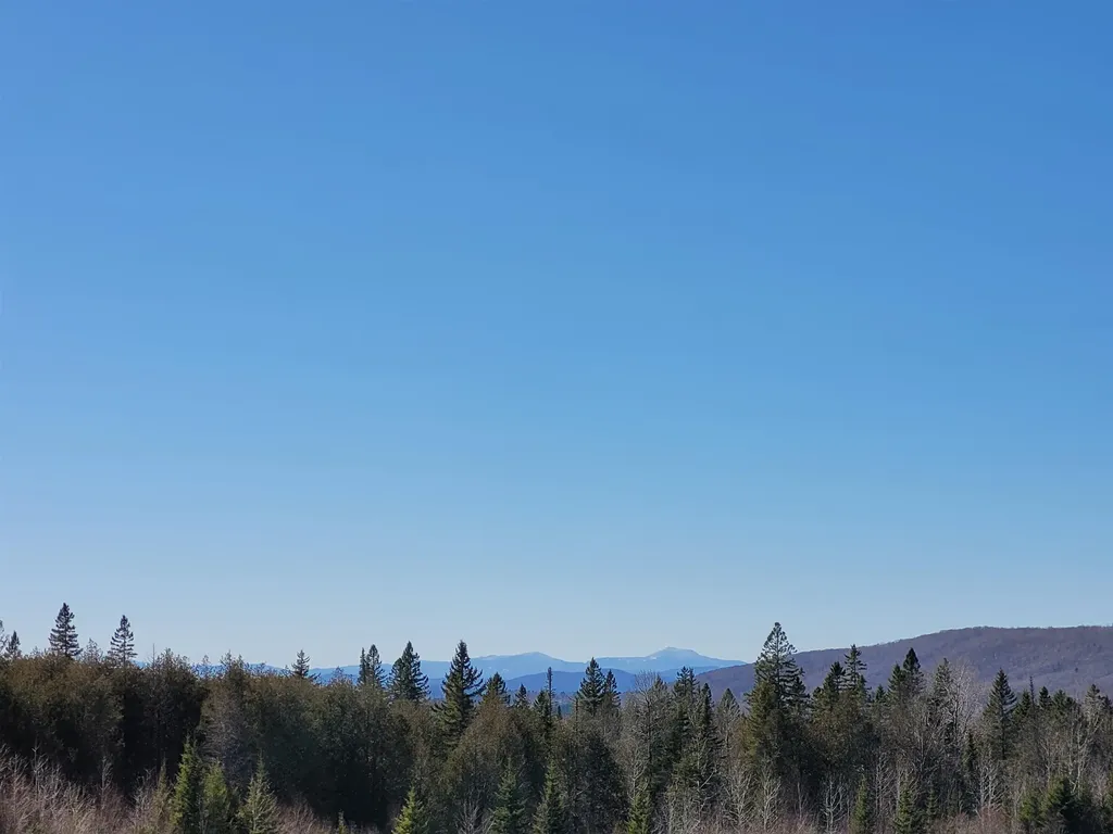 210 Cow Hill Road Peacham VT 05873