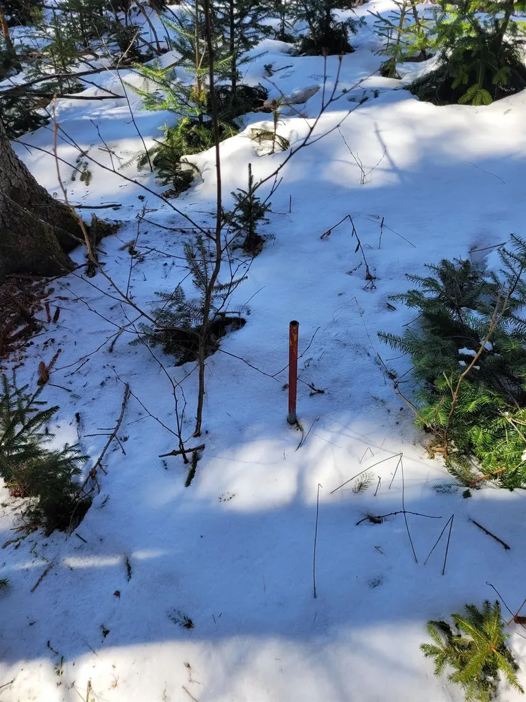 210 Cow Hill Road Peacham VT 05873