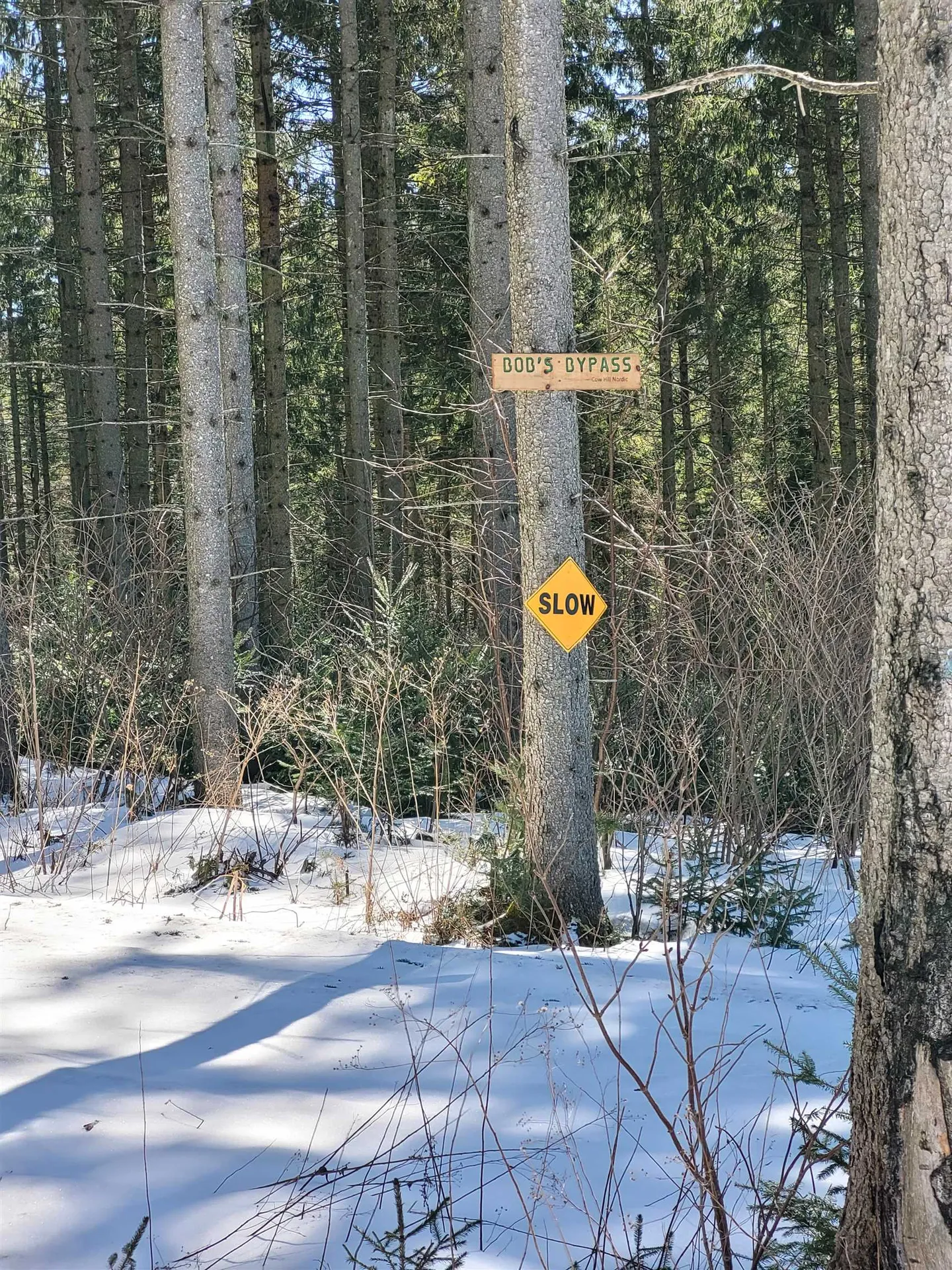 210 Cow Hill Road Peacham VT 05873