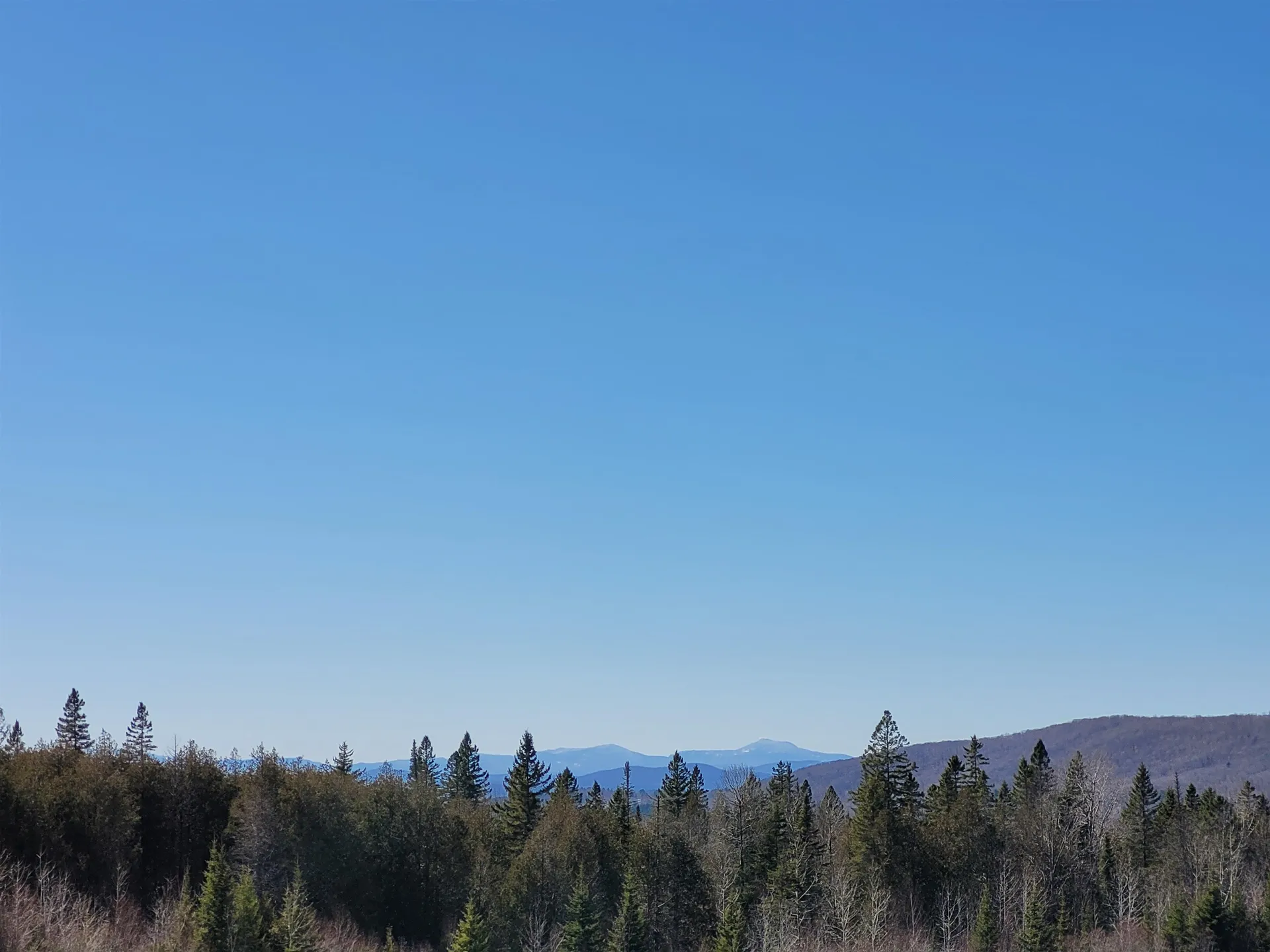 210 Cow Hill Road Peacham VT 05873