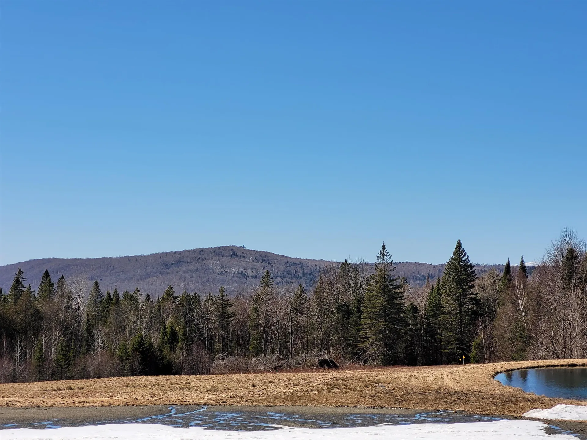 210 Cow Hill Road Peacham VT 05873